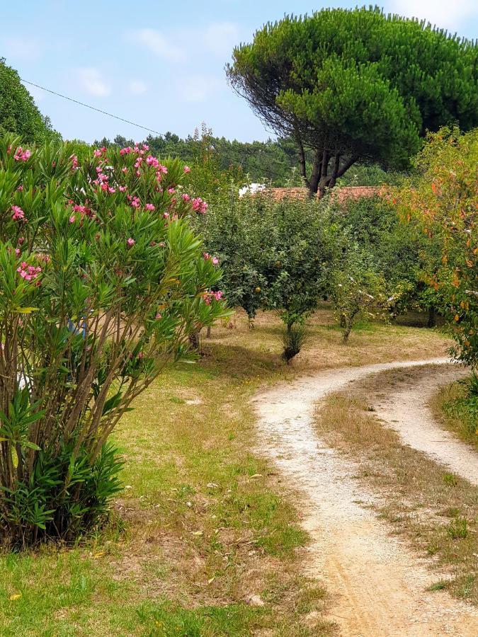 Sondela Self Catering Apartment Sao Martinho do Porto Luaran gambar