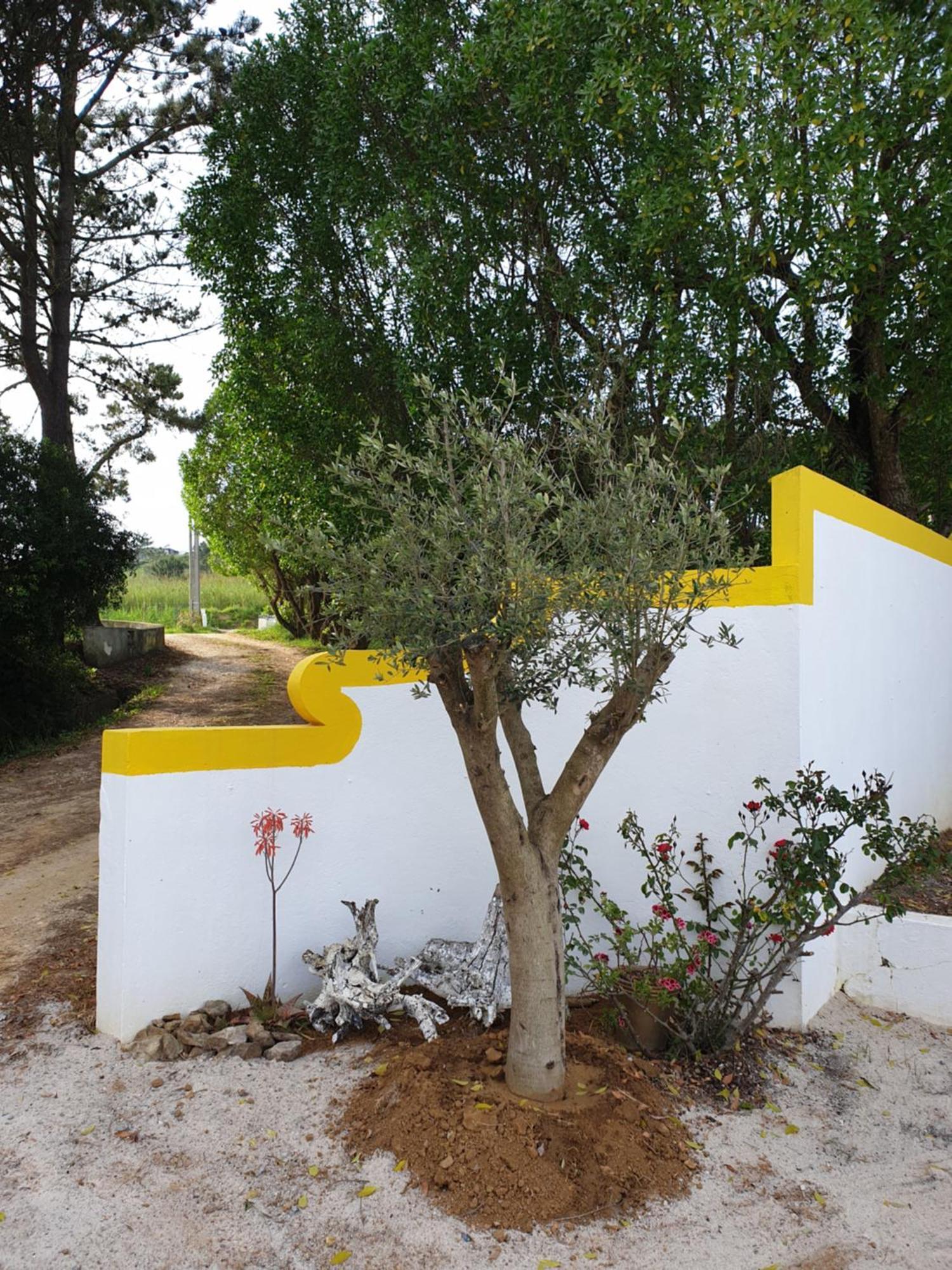 Sondela Self Catering Apartment Sao Martinho do Porto Luaran gambar